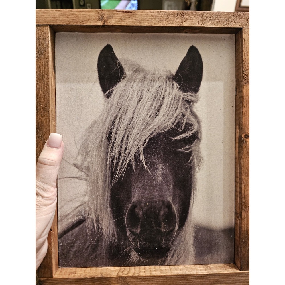 BLACK AND  WHITE HORSE PORTRAIT